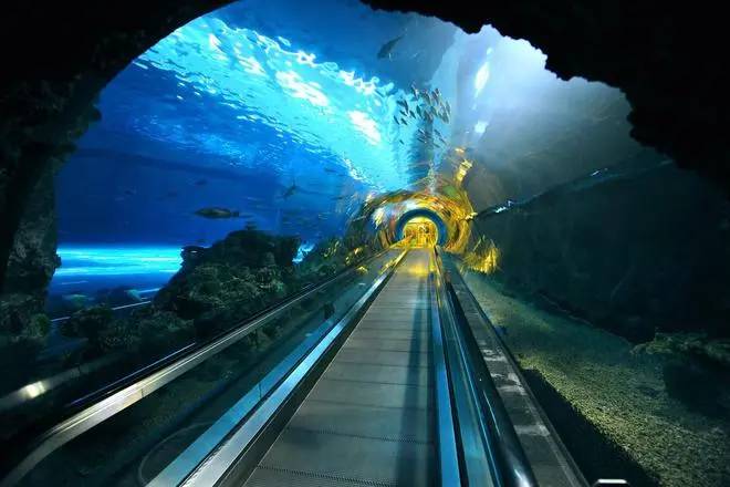 World's longest undersea tunnel construction project to begin